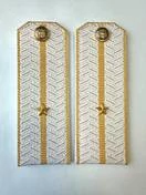 Погоны Таможенной службы белые картон звание Младший Лейтенант