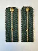 Погоны Таможенной службы на китель темно-зеленые картон звание Младший Лейтенант