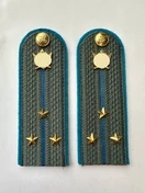 Погоны ФССП с фурнитурой серые звание Старший Лейтенант картон 14х4,5см с Голубым кантом