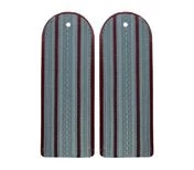 Погоны ФСИН повседневные на рубашку 2 просвета галун 14х5см картон