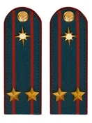 Погоны МЧС на куртку 14х5см картон (в сборе) укомплектованные с фурнитурой звание Подполковник