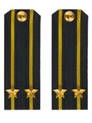 Погоны ВМФ Капитан 2 ранга картон цвет черный с желтыми просветами