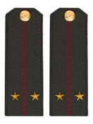 Погоны Росгвардии ФСВНГ на китель 14х5 см Картон звание Лейтенант