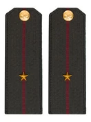 Погоны Росгвардии ФСВНГ на китель 14х5 см ПЛАСТИК звание Младший Лейтенант