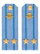 Погоны МО ВДВ голубые на рубашку Подполковник в сборе Картон