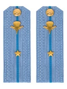 Погоны МО ВДВ голубые на рубашку Младший Лейтенант в сборе Картон