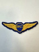 Нашивка шеврон ВКС крылья