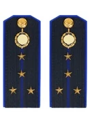 Погоны ФСБ на куртку цвет синий ПЛАСТИК, звание Капитан 14х5,5см