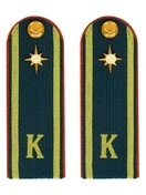 Погоны МЧС курсантские галун 14х5см картон (в сборе) укомплектованные с фурнитурой