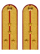Погоны МВД парадные звание Капитан цвет золотой