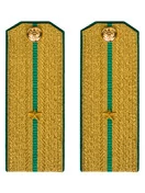 Погоны Пограничной службы ПС ФСБ в сборе картон Младший Лейтенант золотые