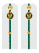 Погоны Пограничной службы ПС ФСБ КАРТОН белые звание Младший лейтенант 14х5см