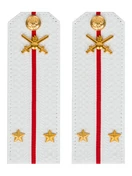 Погоны МО Сухопутные войска белые звание Лейтенант Картон