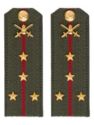 Погоны МО Сухопутные войска зеленые звание Капитан Картон