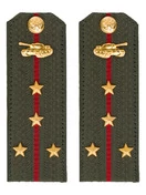 Погоны МО Танковые войска зеленые звание Капитан Картон