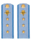 Погоны МО ВДВ голубые на рубашку Старший Прапорщик в сборе Картон