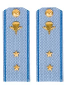 Погоны МО ВДВ голубые на рубашку Прапорщик в сборе Картон