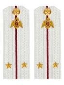 Погоны Росгвардии ФСВНГ на рубашку белые 14х5 см Картон звание Лейтенант