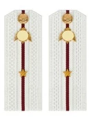 Погоны Росгвардии ФСВНГ на рубашку белые 14х5 см ПЛАСТИК звание Младший Лейтенант