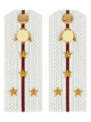 Погоны Росгвардии ФСВНГ на рубашку белые 14х5 см ПЛАСТИК звание Капитан