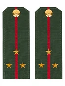 Погоны МО офисные зеленые звание Старший Лейтенант Пластик