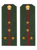 Погоны МО офисные зеленые звание Капитан Пластик