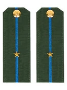 Погоны ВДВ, ВКС, ВВС офисные зеленые с фурнитурой звание Младший Лейтенант Пластик