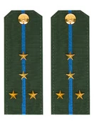 Погоны ВДВ, ВКС, ВВС офисные зеленые с фурнитурой звание Капитан Пластик