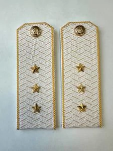 Погоны Таможенной службы белые картон звание Старший Прапорщик
