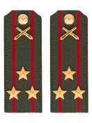 Погоны МО РВиА зеленые звание Полковник ПЛАСТИК