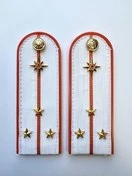 Погоны МЧС белые на рубашку Старший Лейтенант ПЛАСТИК