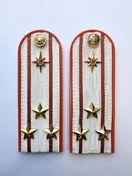 Погоны МЧС белые на рубашку Полковник ПЛАСТИК