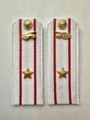 Погоны МО Танковые войска белые звание Майор Картон