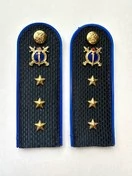 Погоны Юстиции в сборе ПЛАСТИК 14х5 см звание Старший Прапорщик