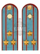 Погоны МЧС голубые на рубашку ПЛАСТИК Звание Полковник