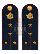 Погоны ФСИН на куртку картон (в сборе) укомплектованные с фурнитурой звание Капитан 13см