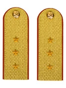 Погоны МЧС Старший Прапорщик Картон цвет золотой 13см