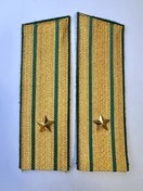 Погоны Пограничной службы ПС ФСБ в сборе картон Майор золотые Скос 17см