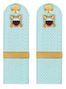 Погоны МВД внутренняя служба на рубашку голубые КАРТОН Звание Ефрейтор 15см