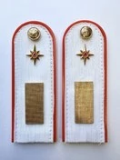 Погоны МЧС белые на рубашку Старшина ПЛАСТИК