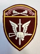 Шеврон Росгвардия (кулак и крылья) краповый пластизоль