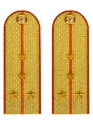 Погоны МЧС Капитан Картон цвет золотой 13см