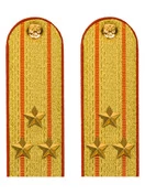 Погоны МЧС Полковник Картон цвет золотой 13см