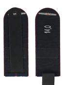 Погоны ФСИН на КИТЕЛЬ картон звание Полковник 13 см