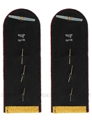 Погоны ФСИН парадные Капитан картон цвет золотой 13см