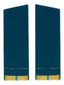 Погоны ВДВ, ВКС, ВВС парадные золотые с фурнитурой Скос на Китель звание Старший Прапорщик