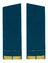 Погоны ВДВ, ВКС, ВВС парадные золотые с фурнитурой Скос на Китель звание Старший Прапорщик