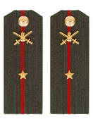 Погоны МО Сухопутные войска зеленые звание Младший Лейтенант Пластик