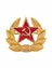 Кокарда СССР солдатская