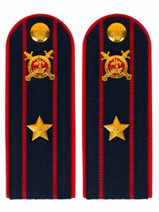 Погоны Полиции ПЛАСТИК (в сборе) укомплектованные с фурнитурой темно-синие (Майор) 14х5см